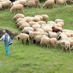 Αντιπροσωπεία των κτηνοτρόφων Θεσπρωτίας παρέδωσε ψήφισμα θέσεων για τα προβλήματα που υπάρχουν στον αγροτικό κόσμο κτηνοτρόφοι-καλό