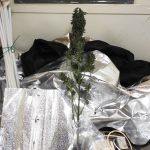 ΚΑΤΑΣΧΕΜΕΝΑ ΘΕΣΠΡΩΤΙΑ