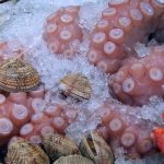 psaria-fish-sarakosti