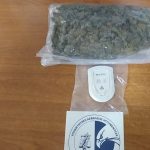 ΝΑΡΚΩΤΙΚΑ ΘΕΣΠΡΩΤΙΑ
