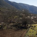 SouliTzav_05a
