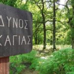 kindynos_pyrkagias