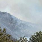 Νέα φωτιά κοντά στα σύνορα με την Αλβανία στην περιοχή του Παλαμπά filiates__1