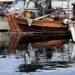 Απαγόρευση αλιείας καραβίδας από 15 Φεβρουαρίου έως 15 Μαϊου psarema_psarades_kaiki_alieia_2_ape