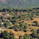 xorio
