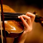 violi