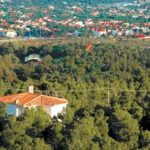 dasika-akinita-768x431
