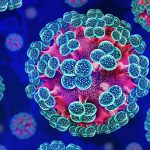 xantavirus