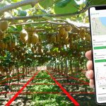200123-irma_sys-kiwi_field_synthesis
